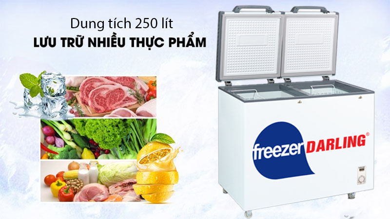 Dung tích của Tủ đông mát 250 lít Darling DMF-2688WE