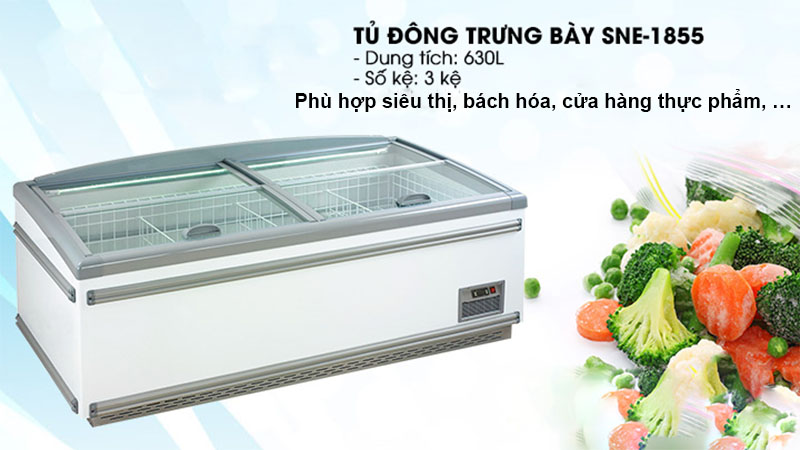 Dung tích của Tủ đông trưng bày Sanden SNE-1855