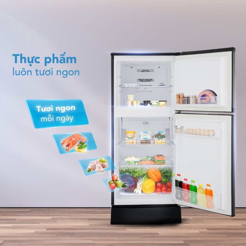 Tủ lạnh Funiki 209 lít HR T6209TDG - Hàng chính hãng