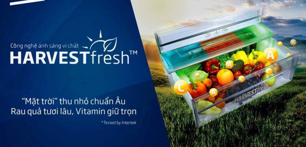 Ngăn rau củ quả Harvest Fresh, giữ cho rau củ tươi lâu hơn