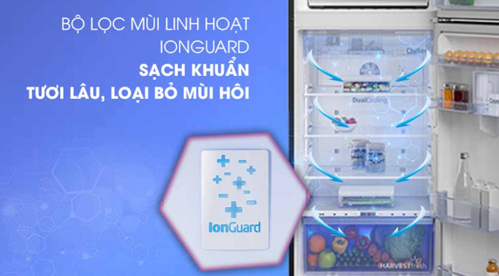 Bộ lọc than hoạt tính, kháng khuẩn và khử mùi hiệu quả