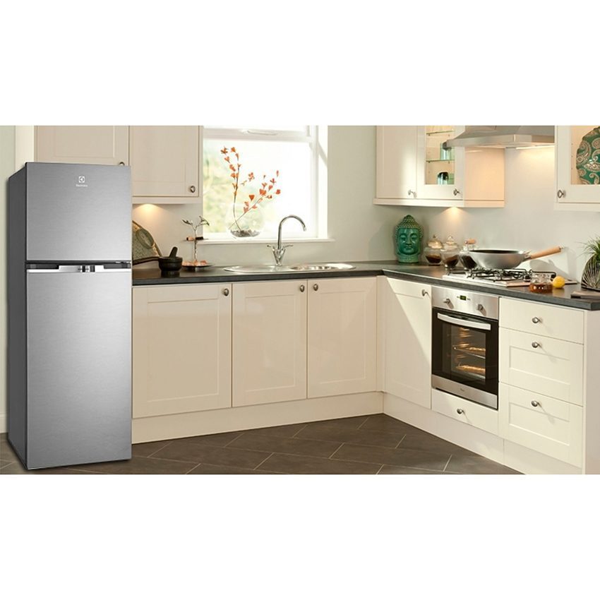 Thiết kế của tủ lạnh Electrolux ETB2300MG