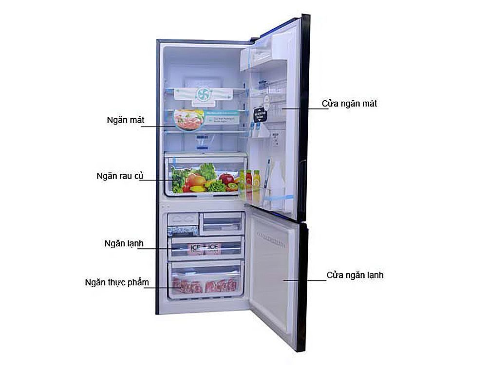 Cửa củ tủ lạnh Electrolux EBB-2600BG