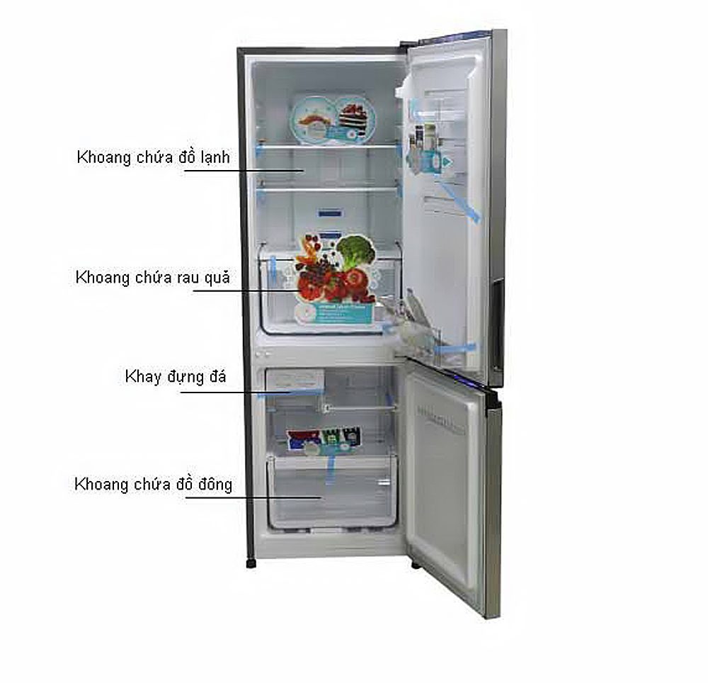 Khoang chứa của tủ lạnh Electrolux EBB-2600MG