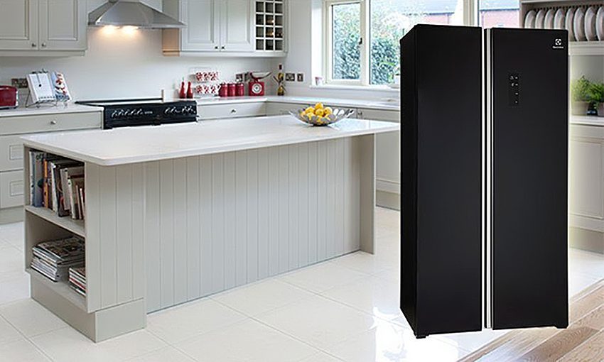 Tủ lạnh Electrolux ESE-6201BG-VN