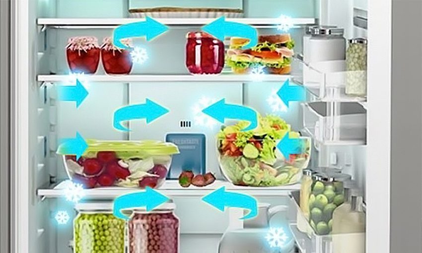 Tủ lạnh Electrolux ESE-6201BG-VN Làm lạnh nhanh, đa chiều