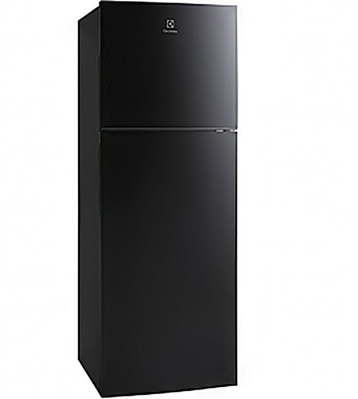 Tủ lạnh Electrolux ETB2101BG