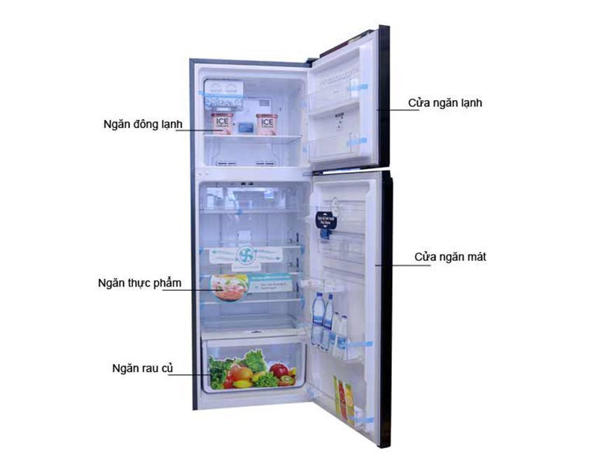 Chi tiết của tủ lạnh Electrolux ETB3200BG