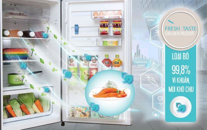 Tủ Lạnh Electrolux ETE3500AG-RVN