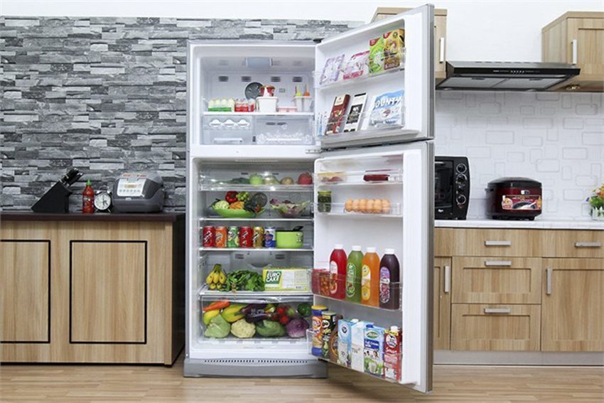 Chức năng của tủ lạnh Electrolux ETE4407SD