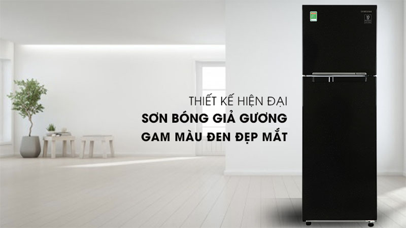 Thiết kế của Tủ lạnh Inverter 256 lít Samsung RT25M4032BU/SV