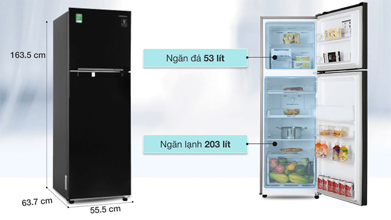 Dung tích của Tủ lạnh Inverter 256 lít Samsung RT25M4032BU/SV