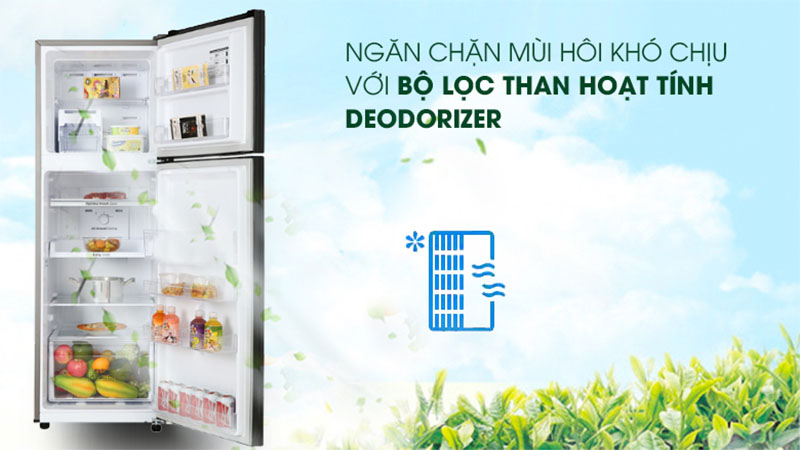 Công nghệ khử mùi hôi của Tủ lạnh Inverter 256 lít Samsung RT25M4032BU/SV