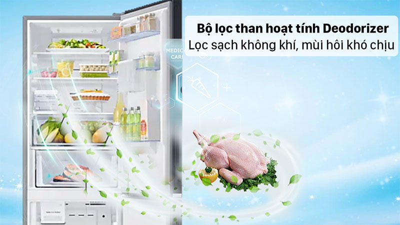 Bộ lọc than hoạt tính của Tủ lạnh Inverter 307 lít Samsung RB30N4190BU/SV