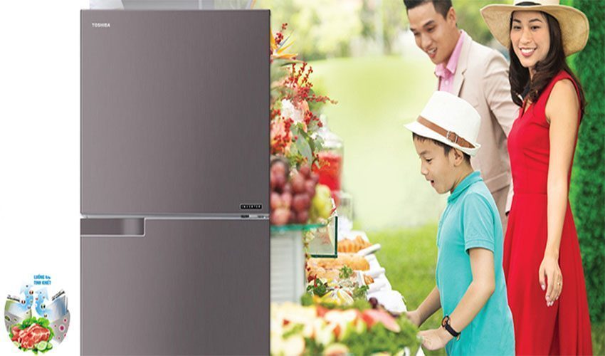 Ứng dụng của tủ lạnh Inverter Toshiba GR-A36VUBZ-D