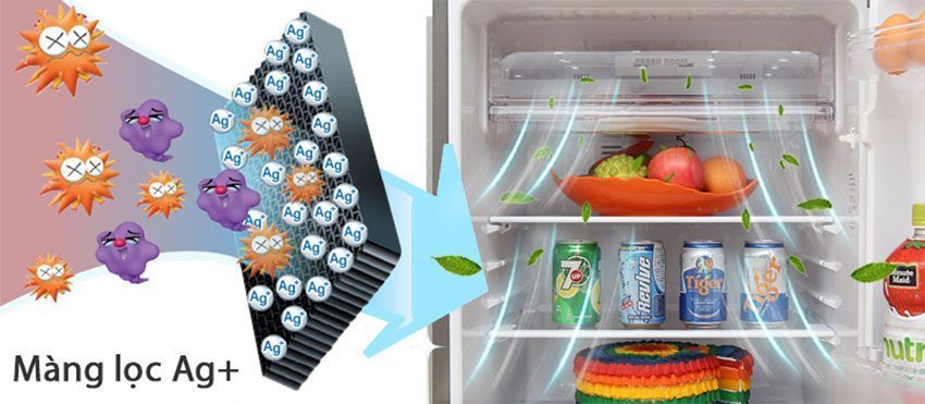 Tủ lạnh Inverter hai cửa Sharp SJ-XP405PG-BR với phân tử bạc giúp diệt khuẩn hiệu quả