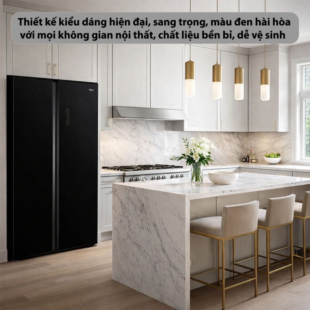 Tủ lạnh Side by Side Teka RLF-74917-GBK - Hàng chính hãng