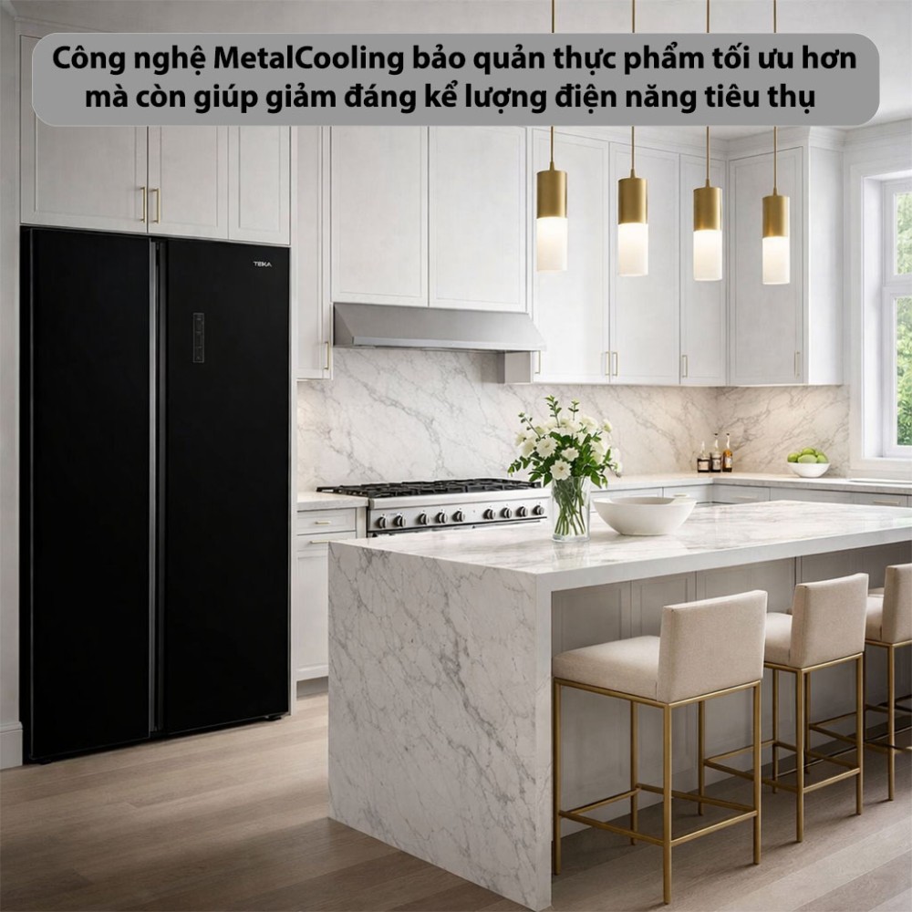 Tủ lạnh Side by Side Teka RLF-74917-GBK - Hàng chính hãng