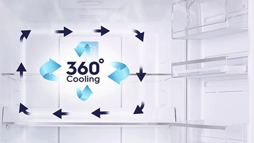 Tủ lạnh inverter 250 lít Electrolux EBB2802H-A với công nghệ làm lạnh đa chiều 360 độ