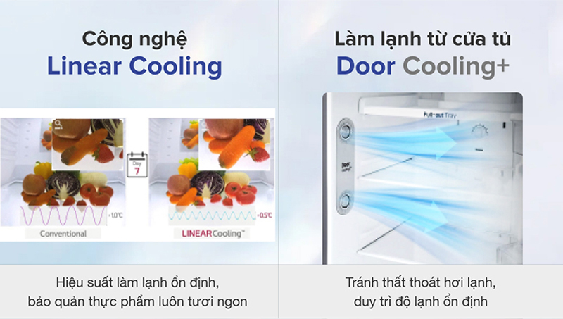 Chế độ làm lạnh Door Cooling và công nghệ Linear Cooling giữ thực phẩm tươi ngon lâu hơn