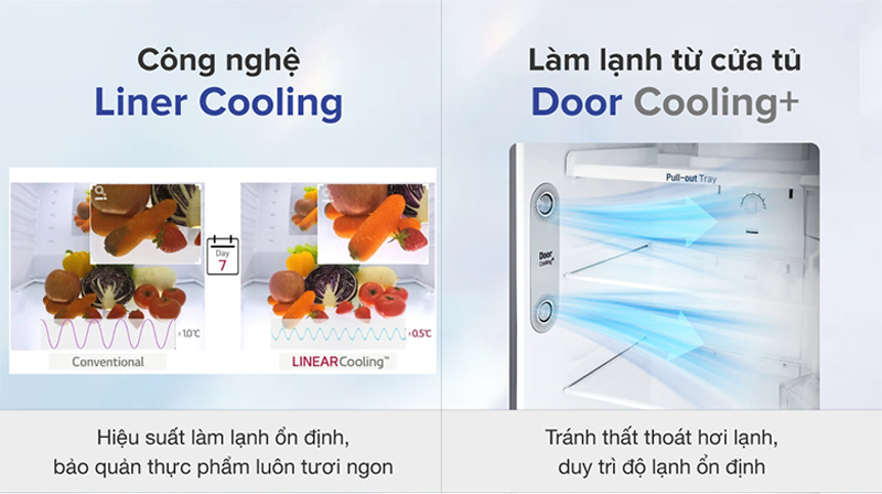 Công nghệ Door Cooling làm lạnh nhanh, hơi lạnh tỏa đều khắp tủ