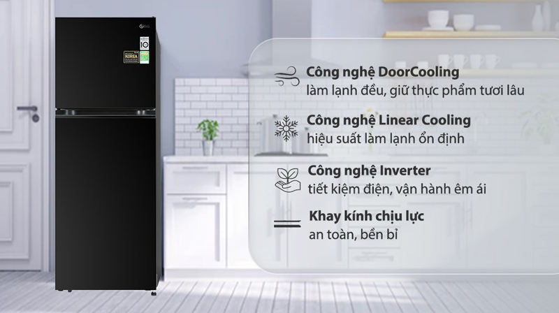 Đặc điểm nổi bật của tủ lạnh  LG Inverter 315 Lít GN-M312BL