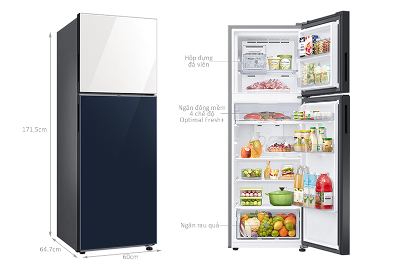 Kích thước của tủ lạnh Samsung RT31CB56248ASV 