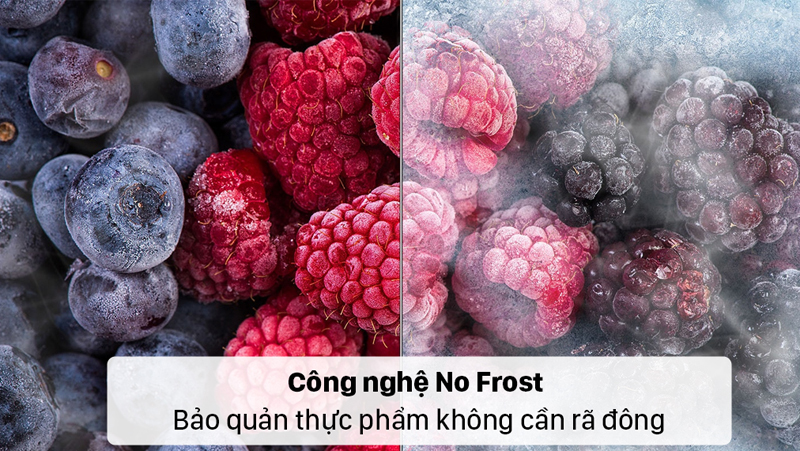 Công nghệ No Frost ngăn tình trạng đóng tuyết thực phẩm, bạn có thể lấy thực phẩm ra sử dụng khi cần mà không tốn thời gian rã đông.