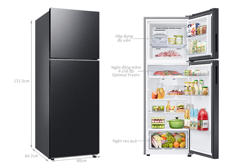 Kích thước của tủ lạnh Samsung Inverter 305L RT31CG5424B1SV