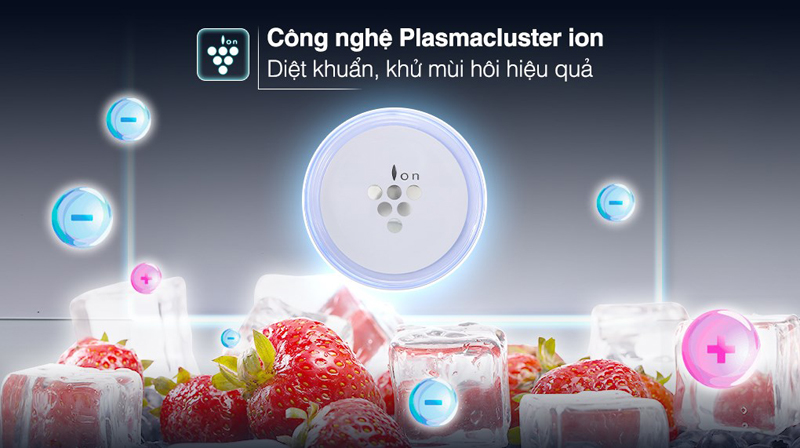 Công nghệ Plasmacluster ion loại bỏ vi khuẩn, khử mùi tối ưu, sẽ loại bỏ hoàn toàn mùi hôi