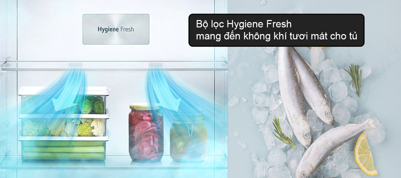 Bộ lọc 5 lớp Hygiene Fresh+™ kháng khuẩn, khử mùi hiệu quả