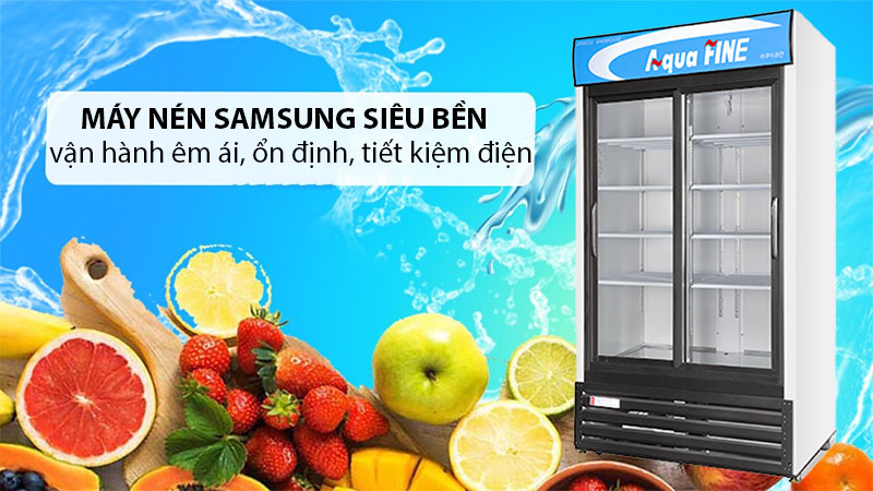 Động cơ của Tủ mát AquaFine JW-1350R