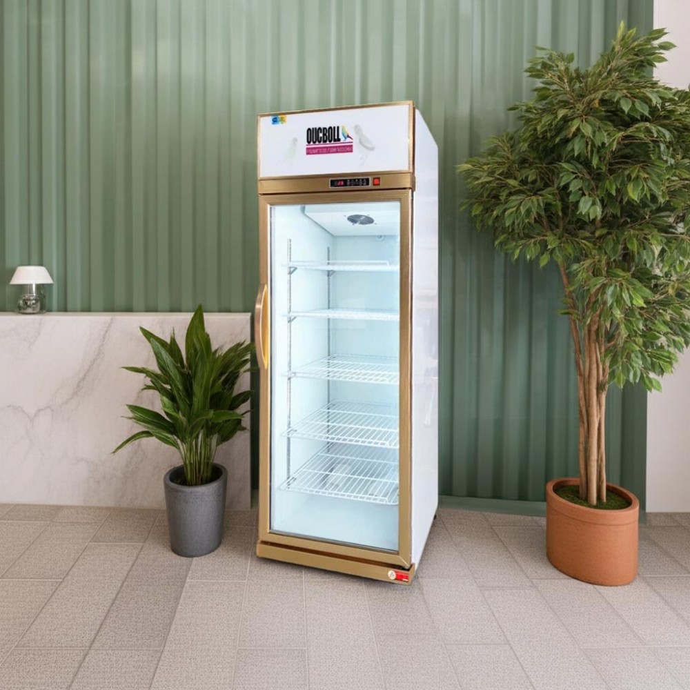 Tủ mát trưng bày 1 cánh kính Oucboll LG-458C - Hàng chính hãng