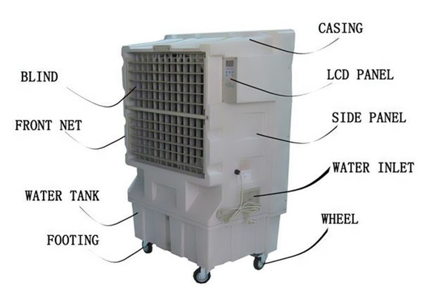 Empoli YM-12