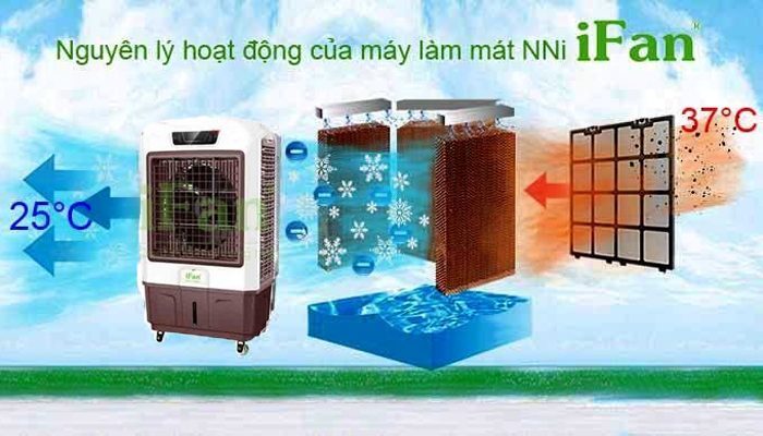 Thông số kỹ thuật IFAN 1000