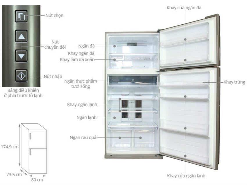 Cấu tạo Tủ lạnh Sharp SJ-XP590PG-SL
