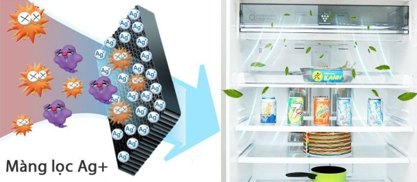 Tủ lạnh Sharp SJ-XP590PG-SL đẩy lùi vi khuẩn 