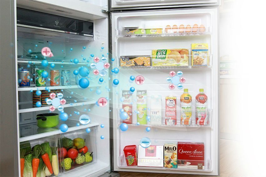 Tủ lạnh Sharp SJ-XP590PG-SL bảo vệ thực phẩm tươi ngon