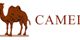 Thương hiệu Camel