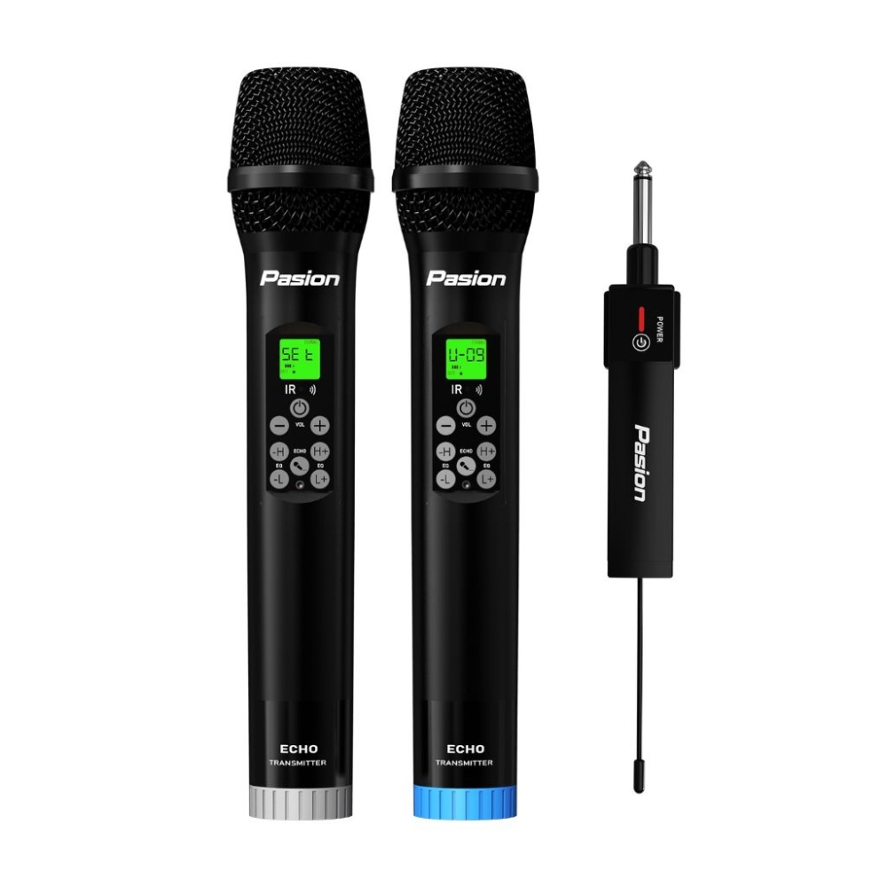 Micro không dây tích hợp DSP Paramax PASION ECHO - Hàng chính hãng