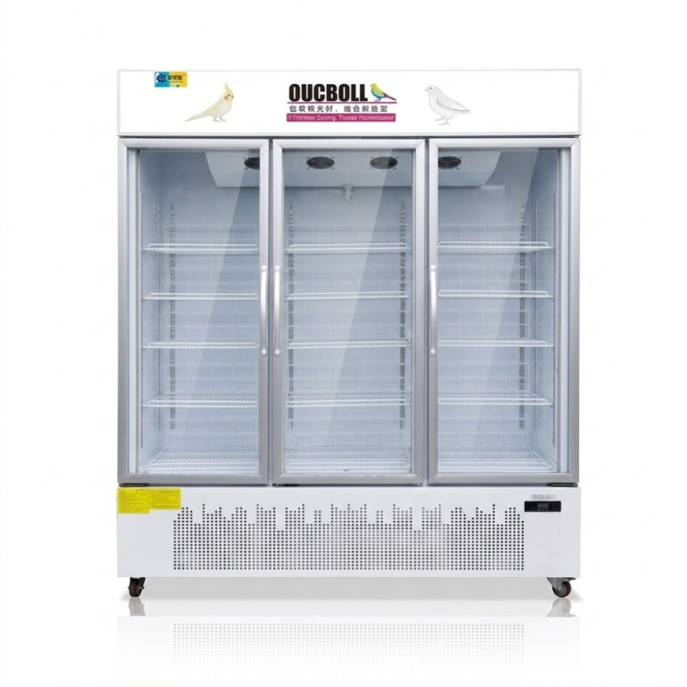 Tủ đông đứng 3 cánh kính 1m8 Oucboll LD-1800F - Hàng chính hãng
