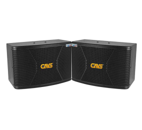 Cặp loa karaoke CAVS CX10 - Hàng chính hãng