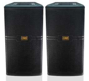 Loa karaoke CAVS CS-301E - Hàng chính hãng