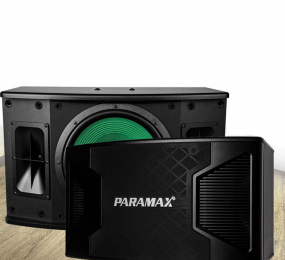 Loa karaoke Paramax P-2500 - Hàng chính hãng