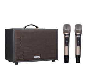 Loa karaoke xách tay Acnos CS3600PRO