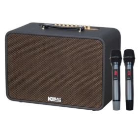Loa xách tay Acnos CS250PRO