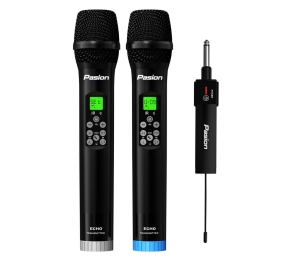 Micro không dây tích hợp DSP Paramax PASION ECHO