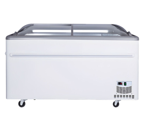 Tủ đông H&C CBCQS-21L