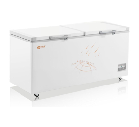 Tủ đông nằm dung tích 538L Oucboll BD/BC-538