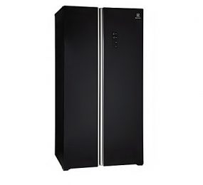 Tủ lạnh Electrolux ESE-6201BG-VN - Hàng chính hãng